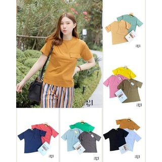 เสื้อคอกลมแขนสั้น งานป้ายA21