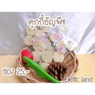 [Exotic land] คุกกี้ธัญพืช สำหรับสัตว์ หนู กระรอก ชูก้า