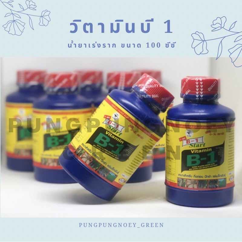 น้ำยาเร่งราก (B Start ฉลากใหม่) ขนาด 100 cc.