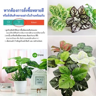 ต้นไม้ประดับหลากสไตล์หลายชนิด รุ่นขนาดใบ 10*12cm ต้นไม้ประดิษฐ์ สวยงามเสมือนจริง (พร้อมส่งในไทย ถึงเร็วทันใจ)