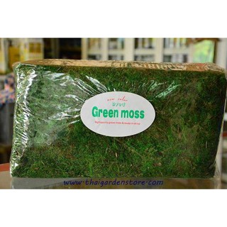 มอสย้อมสีเขียว GREEN MOSS