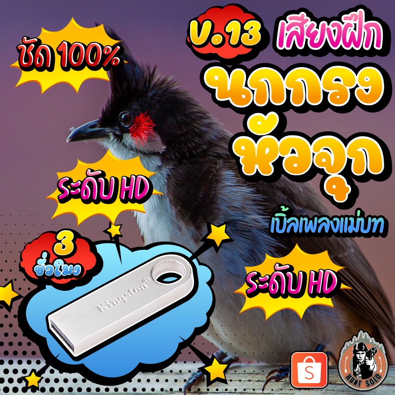เสียงฝึกนกกรงหัวจุกV.13 (เบิ้ลแม่บท) ใส่แฟลชไดร์ฟ ชัด เสียงใส ไม่มีโฆษณา พร้อมส่ง เก็บเงินปลายทาง!!!
