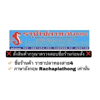 อาหารปลา Hikari food sticks lionhead oranda Gold ซองเล็ก