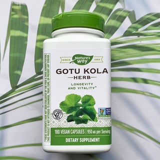 อาหารเสริมต้านความชรา สมุนไพรใบบัวบก Gotu Kola Herb 950 mg 180 or 100 Vegan Capsules (Natures Way®)