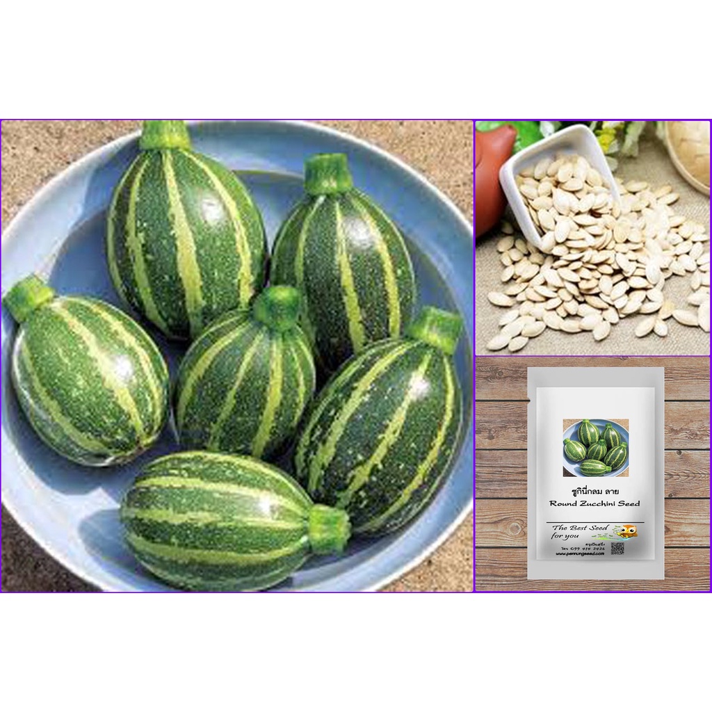 เมล็ด ซูกินี่ยูเครน ลาย (Zucchini from Ukraine)