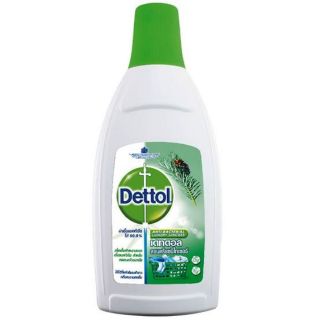 Dettol Laundry Sanitiser เดทตอล ผลิตภัณฑ์ฆ่าเชื้อแบคทีเรียสำหรับเสื้อผ้า