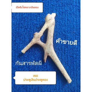 ไม้เขอ ไม้ประตูรับเงินประตูรับทอง 1ในเครื่องรางหายากที่สุดของไทย