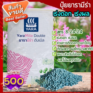 ปุ๋ยยารามีร่า 500 กรัม 🍂 สูตร 8-24-24 ปุ๋ยเคมีปุ๋ยสูตรเร่งดอก เร่งผล ดอกใหญ่ สีสดสวย กระตุ้นให้ติดผลดก ผลใหญ่ รสชาติดี