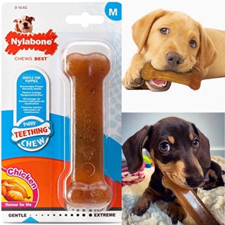 Nylabone ของเล่นขัดฟัน