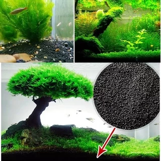 ดินปลูกไม้น้ำ WATER PLANT SOIL by Medifish