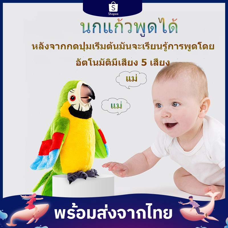 □นกแก้วพูดได้ ของเล่นเด็กอัดเสียง ตุ๊กตานกแก้วพูดตาม นกแก้วอัดเสียงพูดตามได้ทุกภาษา