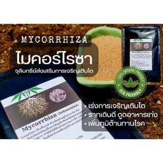 ไมคอร์ไรซา Mycorrhiza Premium Grade 100g.เร่งการเจริญเติบโต รากเดินเร็ว แข็งแรง เสริมภูมิต้านทานโรค