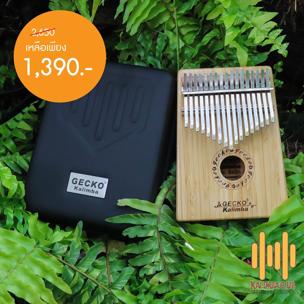 **กล่องกระดาษเปื้อน** คาลิมบา Gecko Kalimba K17BA พร้อม Hardcase