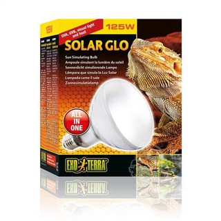 Exo terra Solar Glo หลอดไฟให้ความร้อนและให้ UVB สำหรับเต่าบก 80W/ 125W ยี่ห้อดังที่สุด ไว้ใจได้ ถ้าทุนถึงแนะนำExo-Terra