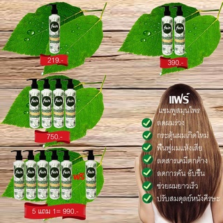 Fair Herbal Shampoo แฟร์แชมพู สมุนไพร สูตรป้องกันผมร่วง