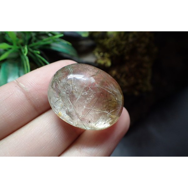 แก้วขนเหล็ก (น้ำใส) | Shopee Thailand