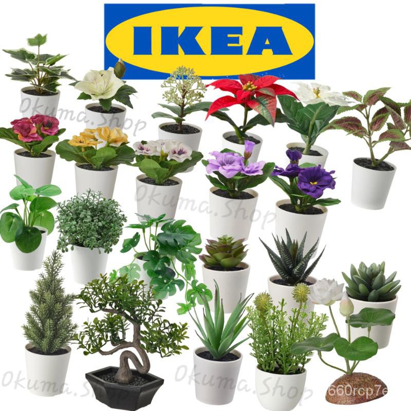 ต้นไม้กระถางประดิษฐ์+กระถาง อิเกีย [พร้อมส่ง!] IKEA แท้ 100% FEJKA เฟคก้า สูงรวม 12-18 ซม.ต้นไม้ปลอม Succulent