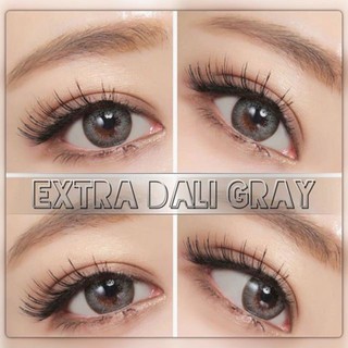 ExtraDali Gray TATOTO Contact Lenses คอนแทคเลนส์ #44