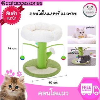 Cat Accessories คอนโดแมว  ขนาดเล็ก ของเล่นแมว ที่นอนแมว ด้านบนและมีตุ๊กตาผ้าสำหรับกัดและข่วนเล่น  size 44x40 Cm. สีเขียว