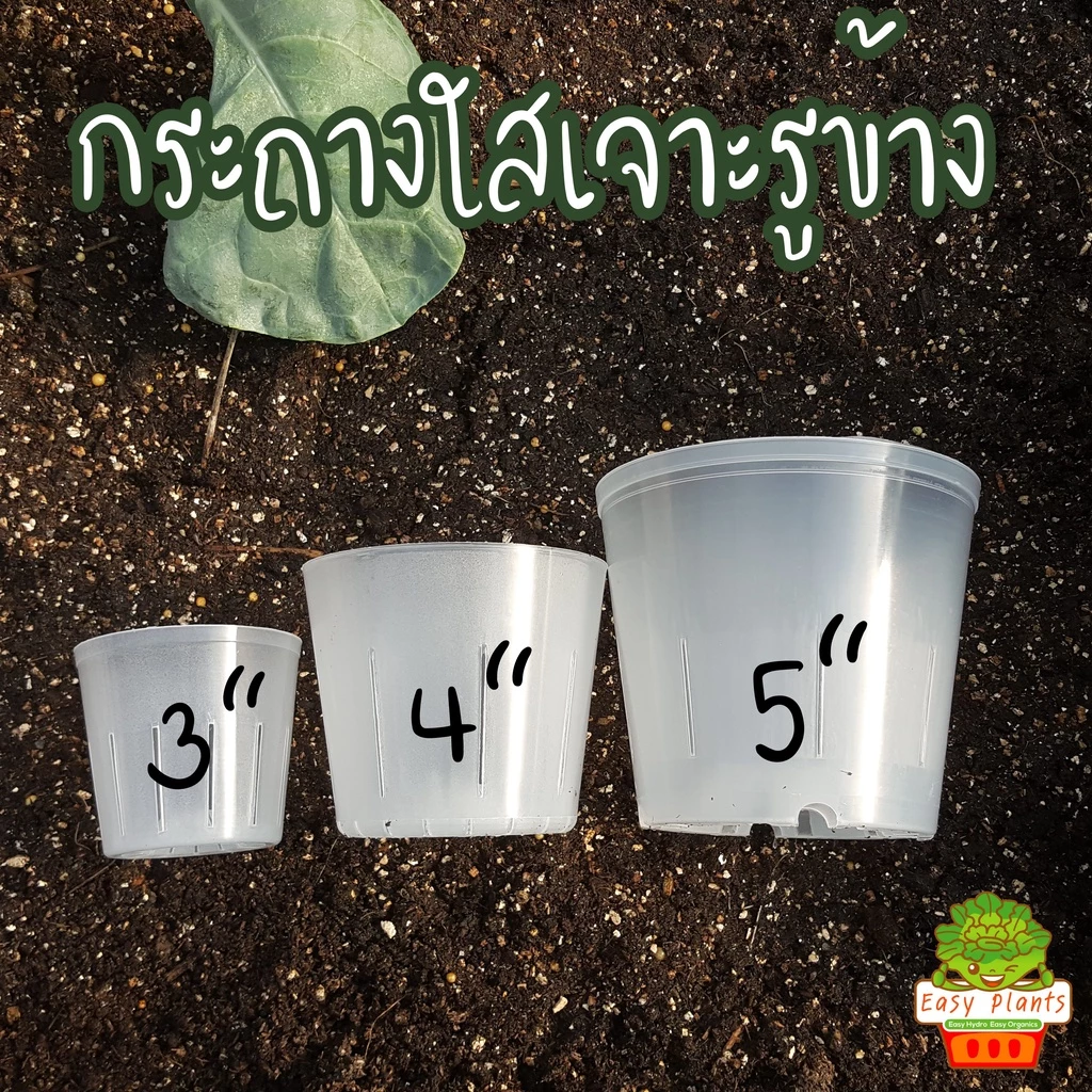 กระถาง ใส เจาะรูข้าง แพ๊คละ 10 ชิ้น มี 3 ขนาด 3,4,5 นิ้ว สามารถมองทะลุ เห็นรากที่เกิดขึ้นมาได้