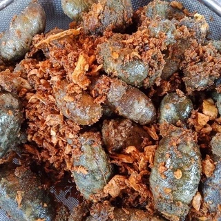 พร้อมส่ง🔥 ไข่ปลาดุกสด 500g./กล่อง ไม่คาว การันตียอดขาย🥇🎖️ ไข่ปลาดุก ไข่ปลา ปลาดุก ไข่ปลาดุกทอด 🚛เหมาค่าส่ง ฟรีกล่องโฟม!!