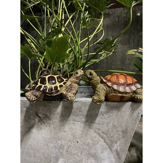 เต่าเรซินเล็ก 🐢 ตุ๊กตาแต่งสวน ตุ๊กตาแต่งบ้าน