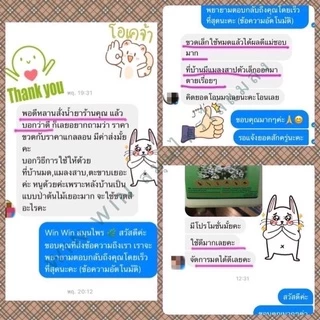 สเปรย์สมุนไพรไล่แมลง ไล่มด แมลงสาบ ฯลฯ สูตรแก้ปัญหาเรื่องแมลงทุกชนิด Win Win ขนาด 1000 cc.