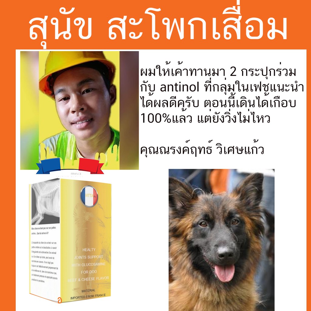 อัลบั้ม 93+ ภาพพื้นหลัง ยาคลายเครียดสุนัข สวยมาก