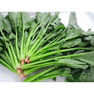 เมล็ดพันธุ์ ปวยเล้ง ปวยเล้งญี่ปุ่น 30 เมล็ด [10 เเถม 1 คละได้ ]