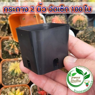 [โค๊ดส่วนลด 60 บาท]กระถาง 2 นิ้ว จัดเซ็ท 50,100 ใบ อย่างดี By.คิม เกษตรเงินล้าน POT2B