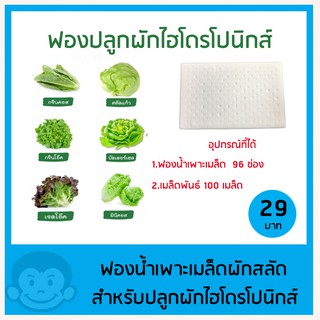 ฟองน้ำและเมล็ดพันธุ์ผักสลัด  ปลูกผักไฮโดรโปนิกส์ 96 ช่อง