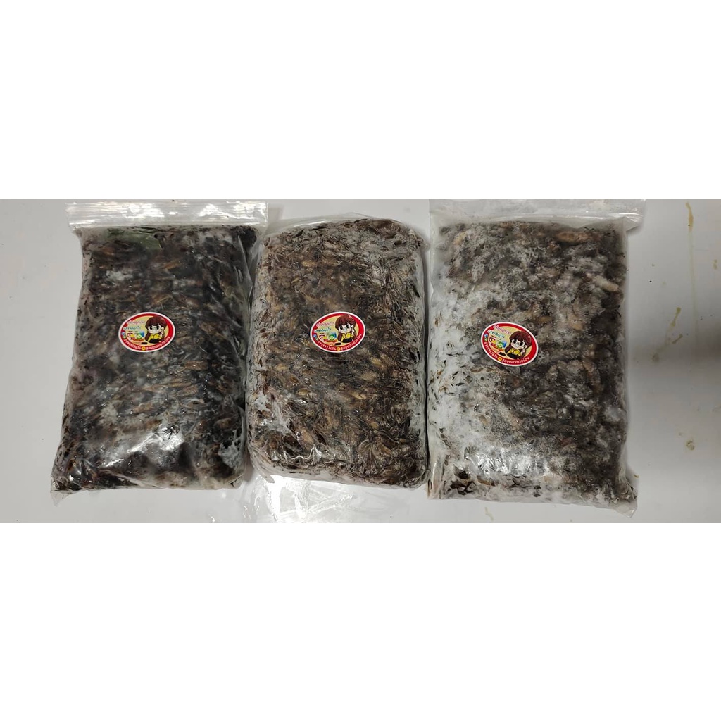 (ไม่ส่ง ตจว.ที่อยู่ไกลมากค่ะ) จิ้งหรีดไข่+ไม่ไข่คละกันไม่ได้คัด นึ่งฟรีสแข็ง ( 1 kg.) ไม่ปรุงรส - รูปที่ 2