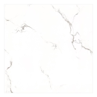 XRC CENTURY กระเบื้อง DIONTE CARRARA M.(SP6PT84M)60X60*A