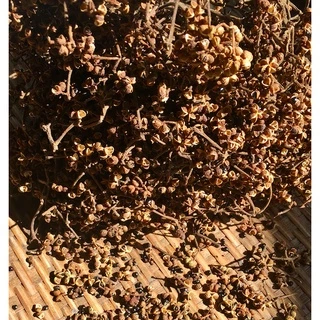มะแขว่นอบแห้ง ขนาด 50 กรัมต้นฤดูกลิ่นหอมสดใหม่ตราแม่อำพรเชียงใหม่