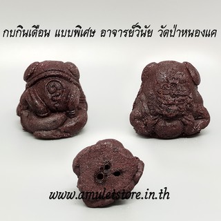 กบกินเดือน แบบพิเศษ อาจารย์วินัย วัดป่าหนองแค KobKinDeuoen PhraAjarn WiNai