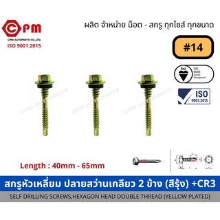 สกรูหัวเหลี่ยม ปลายสว่านเกลียว2ข้าง(สีรุ้ง)+CR3 #14  [SELF DRILLING SCREWS,HEXAGON HEAD DOUBLE THREAD (YELLOW PLATED)]