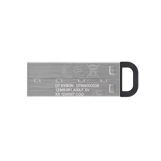 KINGSTON Kyson DTKN USB A 256GB/5Y MS2-000920 แฟลชไดรฟ์