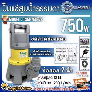 THAISIN ไดโว่ ปั๊มแช่ สูบน้ำ รุ่น TSM-750-2P ขนาด 2 นิ้ว / 750 วัตต์ ปั๊มน้ำ ไดโว่