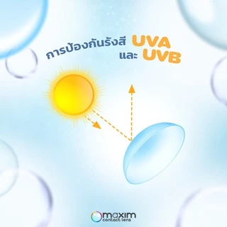 คอนแทคเลนส์ สายตาเอียง รายเดือน Maxim lite toric / Ultraflex Toric
