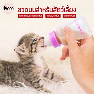 coco.pet ขวดนมลูกแมว ขนาด 5.5 x 14 cm. ปริมาณ 150 ml. ขวดนมสัตว์เลี้ยง ขวดนมแมว ที่ให้นมแมว ขวดนม ขวดนมสำหรับป้อนลูกแมว