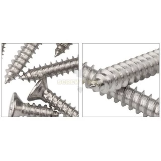น็อต สกรู หัวเตเปอร์ แฉก F+ สแตนเลส 304 เกลียวปล่อย M1.7 M2 / Flat Head Phillip Tapping Screw SUS304