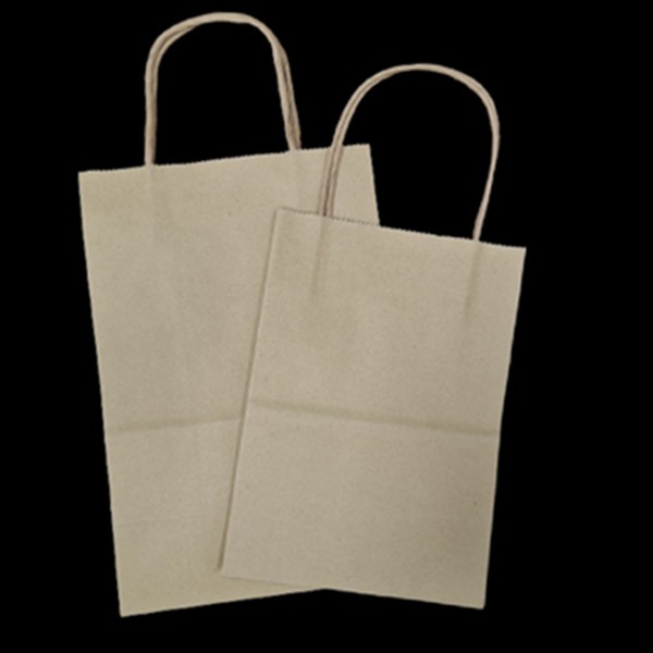 (1 ใบ) ถุงกระดาษพร้อมหูหิ้วแบบเกลียว