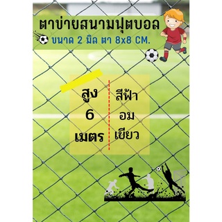 ตาข่ายสนามฟุตบอล/ฟุตซอล สีฟ้าอมเขียว ขนาด 2 มิล ช่องตา 8x8 CM. =ความสูง 6 เมตร= ติดตั้งง่าย มีความยาวให้เลือก