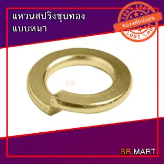 SBMART แหวนสปริง ชุบทอง แบบหนา SPRING WASHER