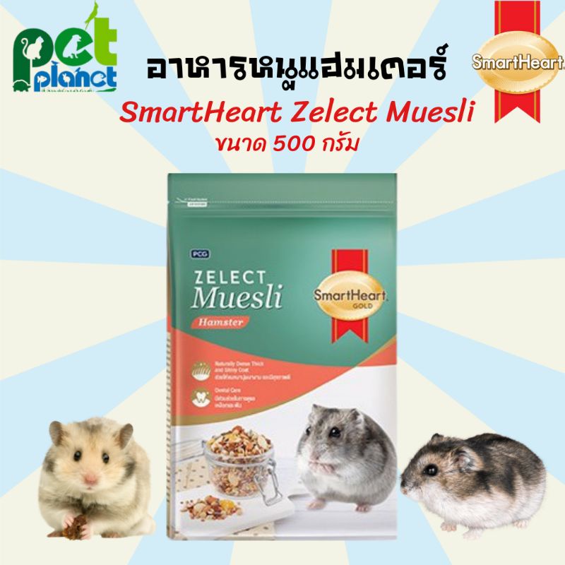 [500g.] อาหารหนูแฮมเตอร์ Smart Heart Zelect Muesli อาหารสำหรับ หนู หนูแฮมเตอร์ ขนมหนูแฮมเตอร์ อาหารห