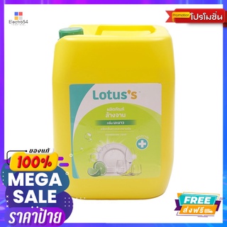 โลตัสผลิตภัณฑ์ล้างจาน 10 ล.LOTUSS DISHWASHING LIQUID 10 L.