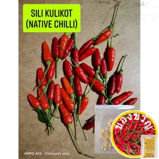 Sili Kulikot Seeds (พื้นเมืองพริกไทย) ซุปเปอร์anghangseeds/กุหลาบ/กระโปรง/แอปเปิ้ล/เสื้อ/ดอกทานตะวัน/ผักกาดหอม/มะละกอ/ผั