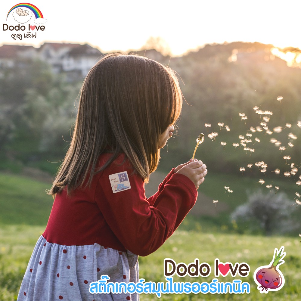 DODOLOVE สติ๊กเกอร์หัวหอม ออร์แกนิค 1 กล่อง 6 ชิ้น บรรเทาอาการหวัด แก้คัดจมูก #7