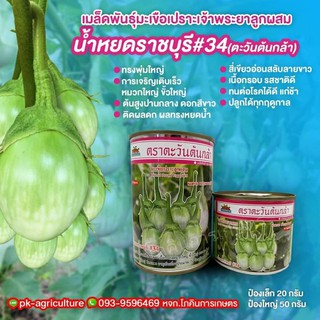 เมล็ดพันธุ์มะเขือ น้ำหยดราชบุรี #34 ขนาด 20-50 กรัม