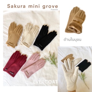 Sakura mini grove ถุงมือกันหนาวด้านในบุขน ใส่เที่ยวเมืองหนาว